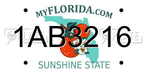 1AB3216 Florida License Plate