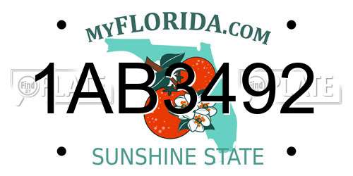 1AB3492 Florida License Plate
