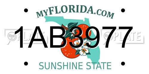 1AB3977 Florida License Plate