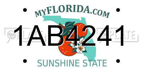 1AB4241 Florida License Plate