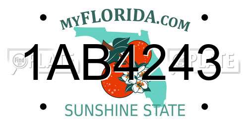1AB4243 Florida License Plate