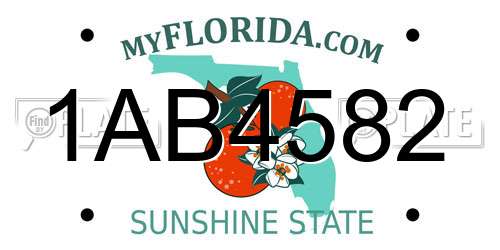 1AB4582 Florida License Plate