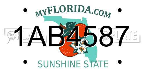 1AB4587 Florida License Plate