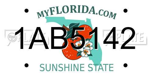1AB5142 Florida License Plate