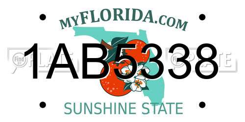 1AB5338 Florida License Plate
