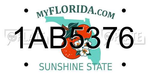 1AB5376 Florida License Plate