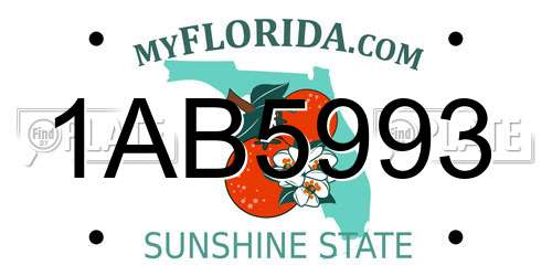 1AB5993 Florida License Plate