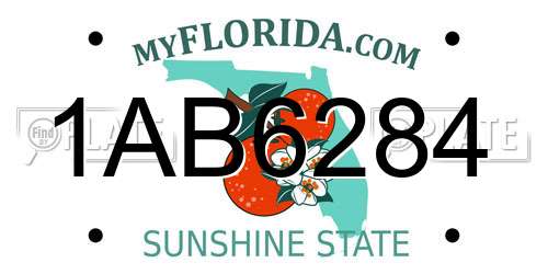 1AB6284 Florida License Plate