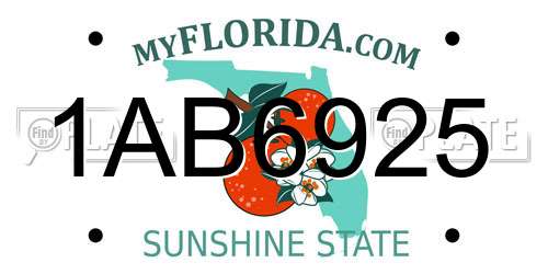 1AB6925 Florida License Plate