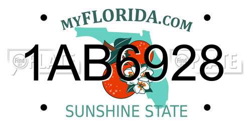 1AB6928 Florida License Plate
