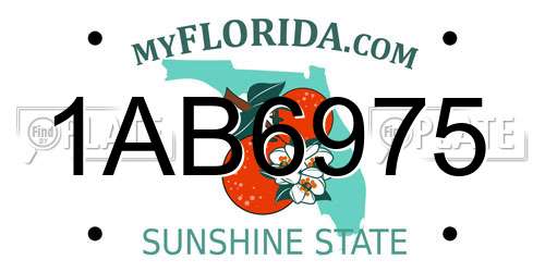 1AB6975 Florida License Plate