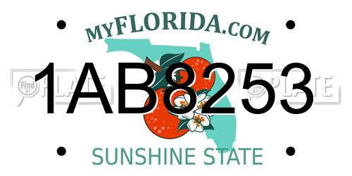 1AB8253 Florida License Plate