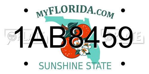 1AB8459 Florida License Plate