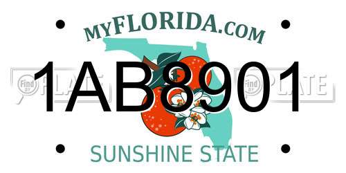 1AB8901 Florida License Plate