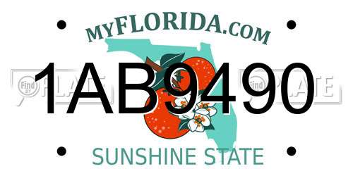1AB9490 Florida License Plate