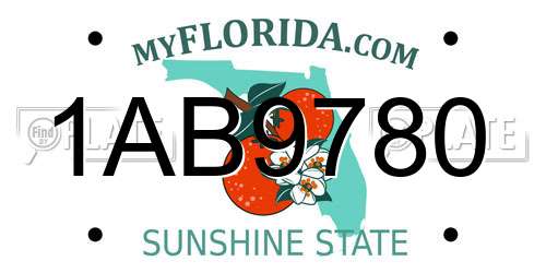 1AB9780 Florida License Plate