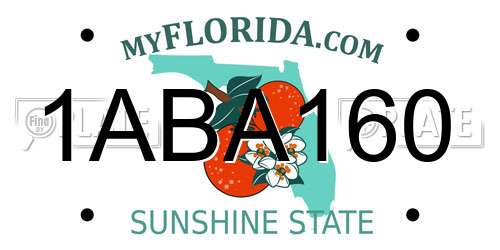 1ABA160 Florida License Plate