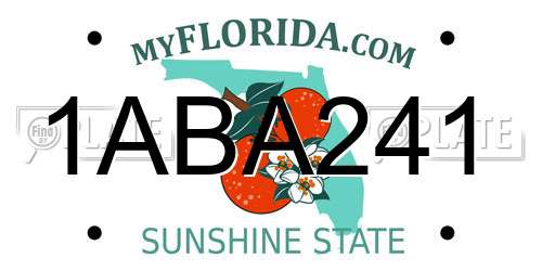 1ABA241 Florida License Plate