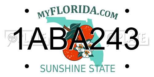 1ABA243 Florida License Plate