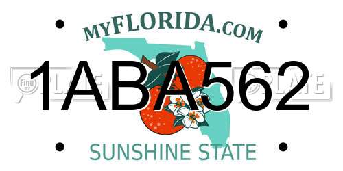 1ABA562 Florida License Plate