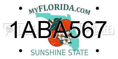 1ABA567 Florida License Plate