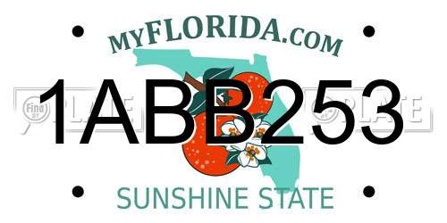 1ABB253 Florida License Plate