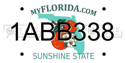1ABB338 Florida License Plate