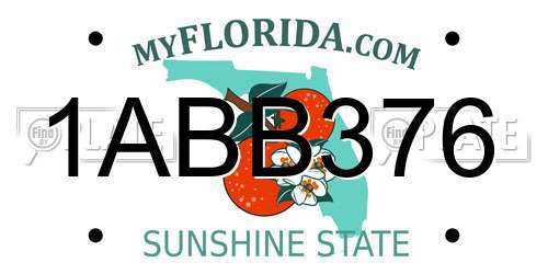 1ABB376 Florida License Plate