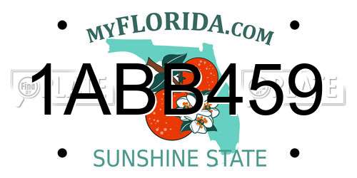 1ABB459 Florida License Plate