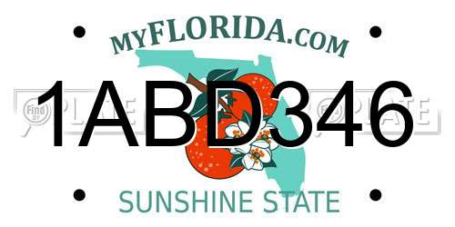 1ABD346 Florida License Plate