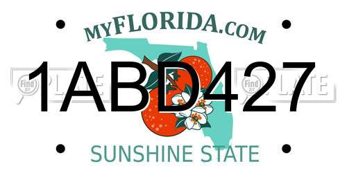 1ABD427 Florida License Plate