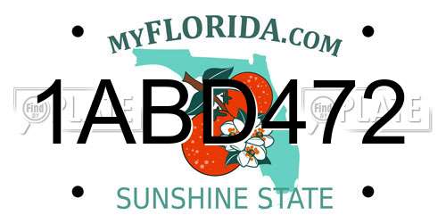 1ABD472 Florida License Plate