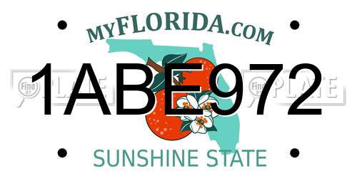 1ABE972 Florida License Plate