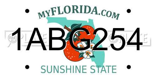 1ABG254 Florida License Plate