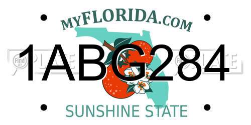 1ABG284 Florida License Plate