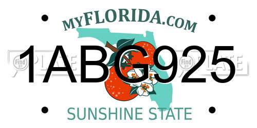 1ABG925 Florida License Plate