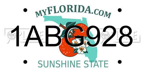1ABG928 Florida License Plate