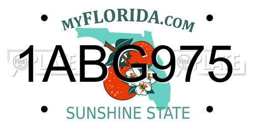 1ABG975 Florida License Plate