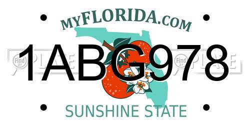 1ABG978 Florida License Plate