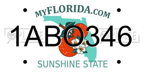 1ABO346 Florida License Plate