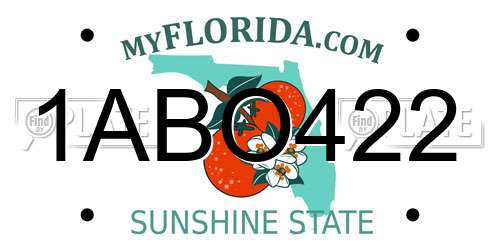 1ABO422 Florida License Plate