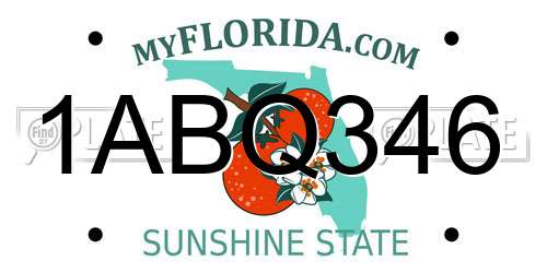 1ABQ346 Florida License Plate