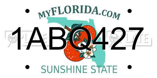1ABQ427 Florida License Plate