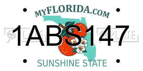 1ABS147 Florida License Plate