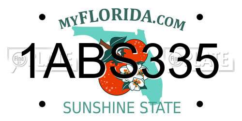 1ABS335 Florida License Plate