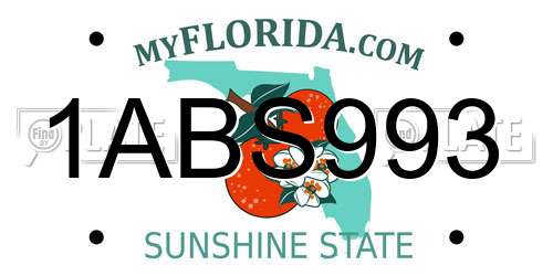 1ABS993 Florida License Plate