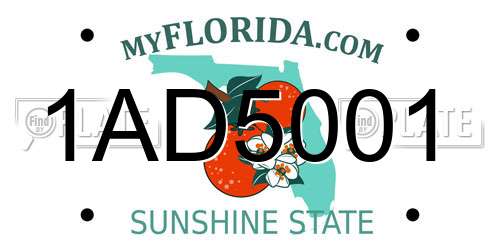 1AD5001 Florida License Plate