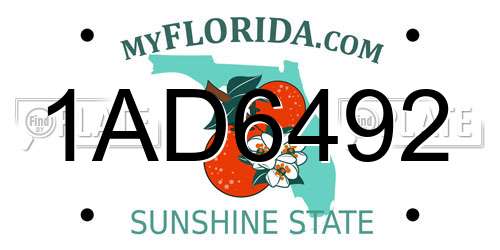 1AD6492 Florida License Plate