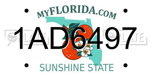 1AD6497 Florida License Plate