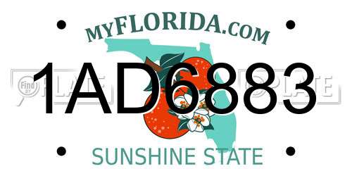 1AD6883 Florida License Plate